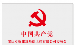 中共四會(huì)市東城街道工作委員會(huì)黨工委到訪我公司指導(dǎo)交流黨建工作